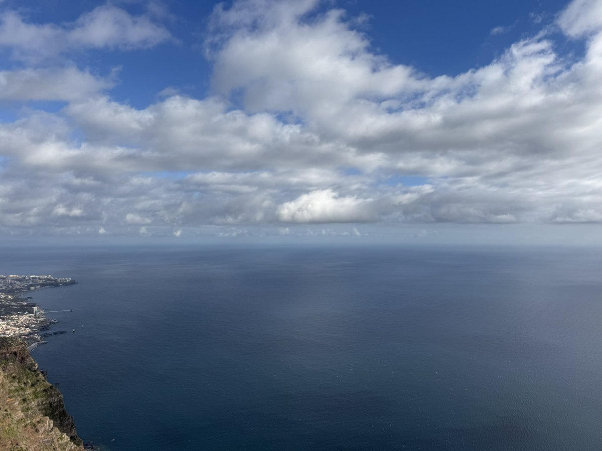 Nya 🇳🇱 tweet media