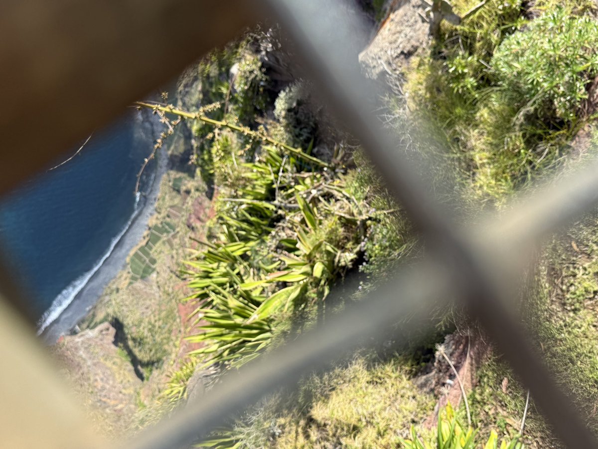 Nya 🇳🇱 tweet media