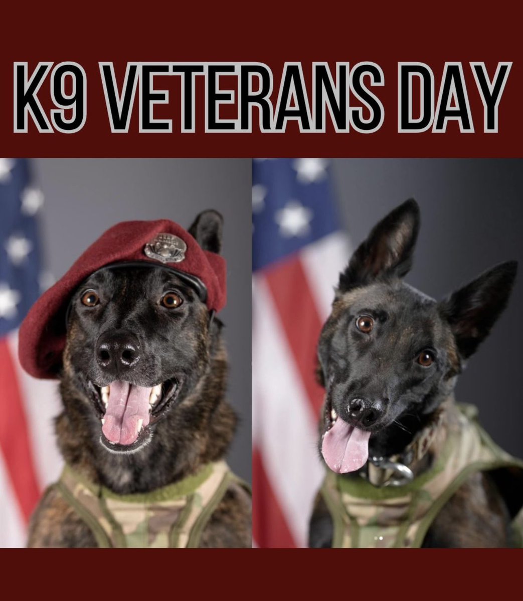 Military Support tweet media