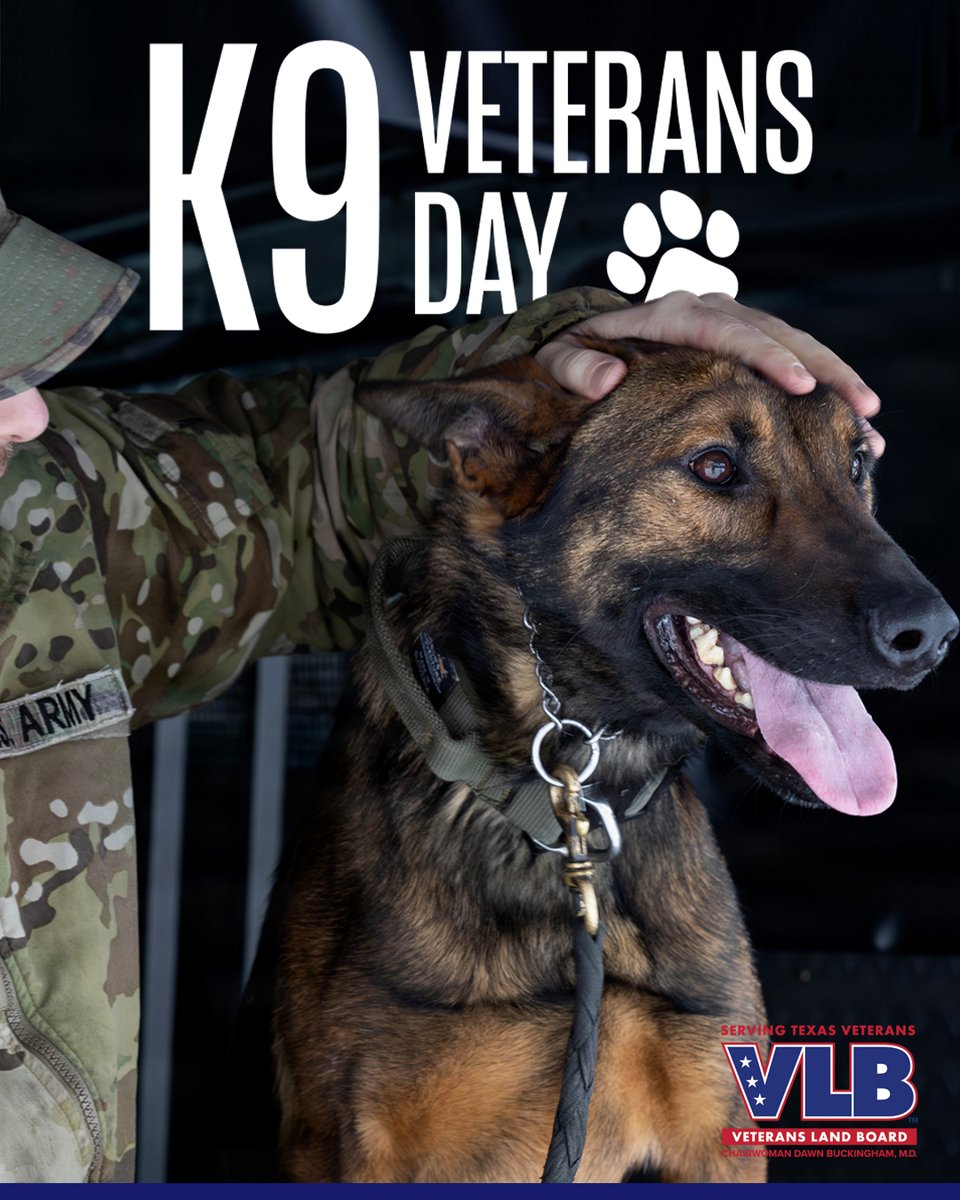 Texas General Land Office tweet media