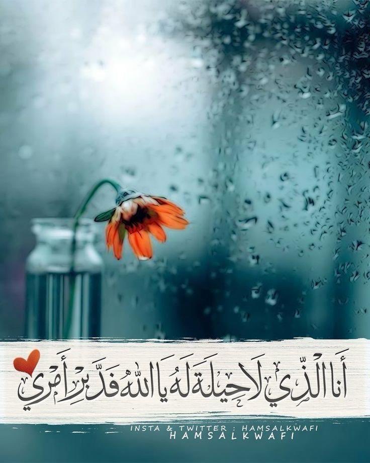 ام عبدالرحمن التبوكي tweet media