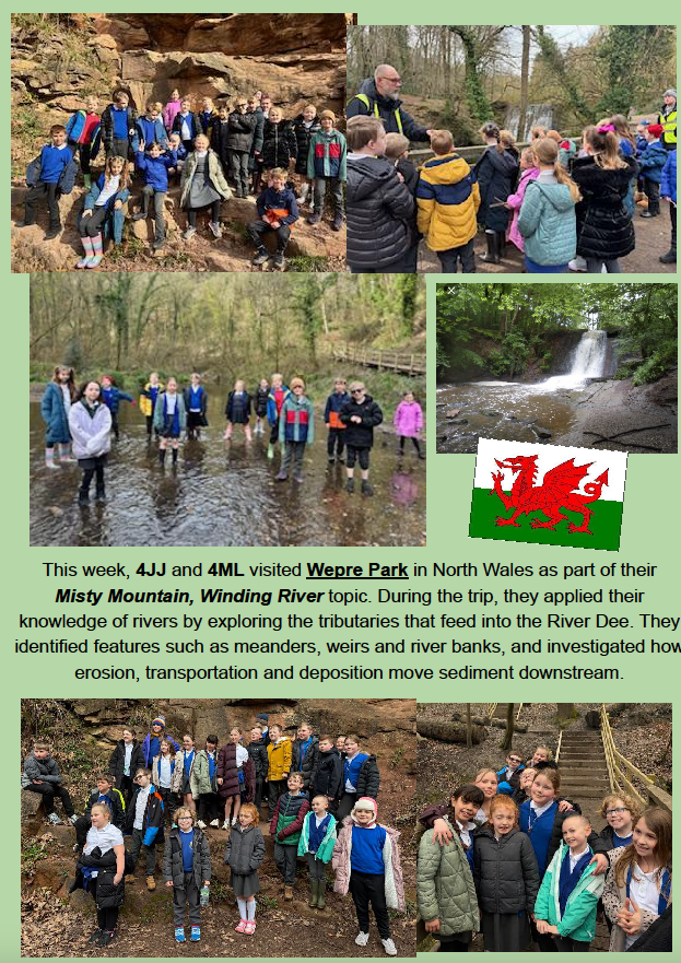 NewBrightonPS's tweet photo. This week's newsletter is out now 😊 Download the full version from the school website https://t.co/8ISbxO6KIv https://t.co/TwM3apWmSv