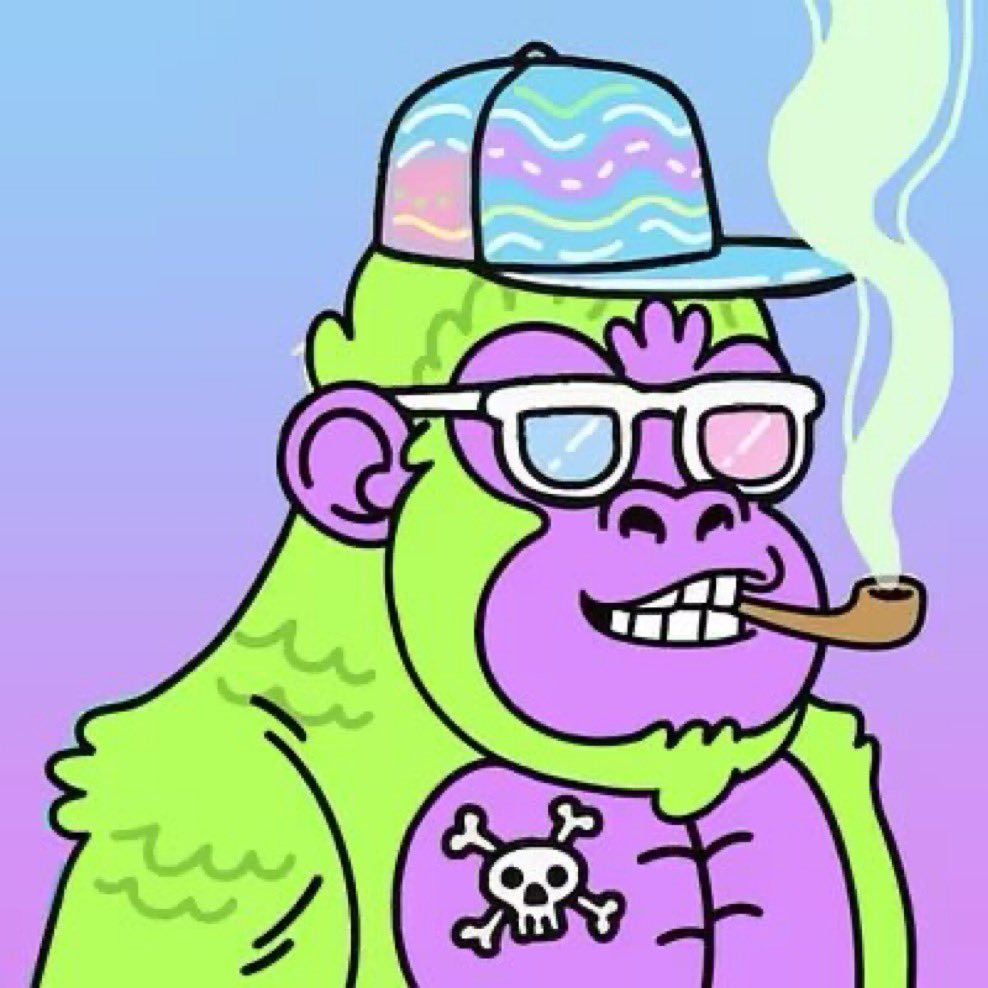 Yves Not Saint Laurent🐬 tweet media