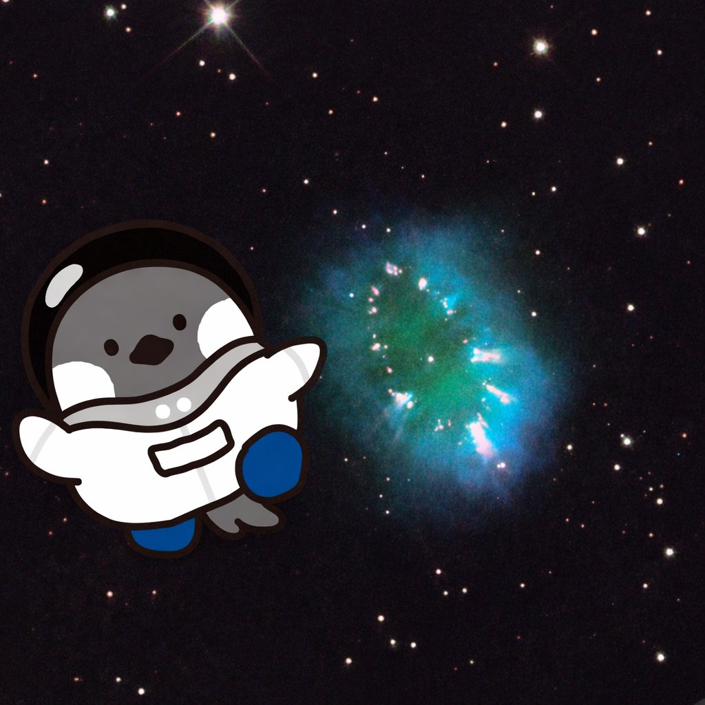 Spacecoin™ 🛰️ tweet media