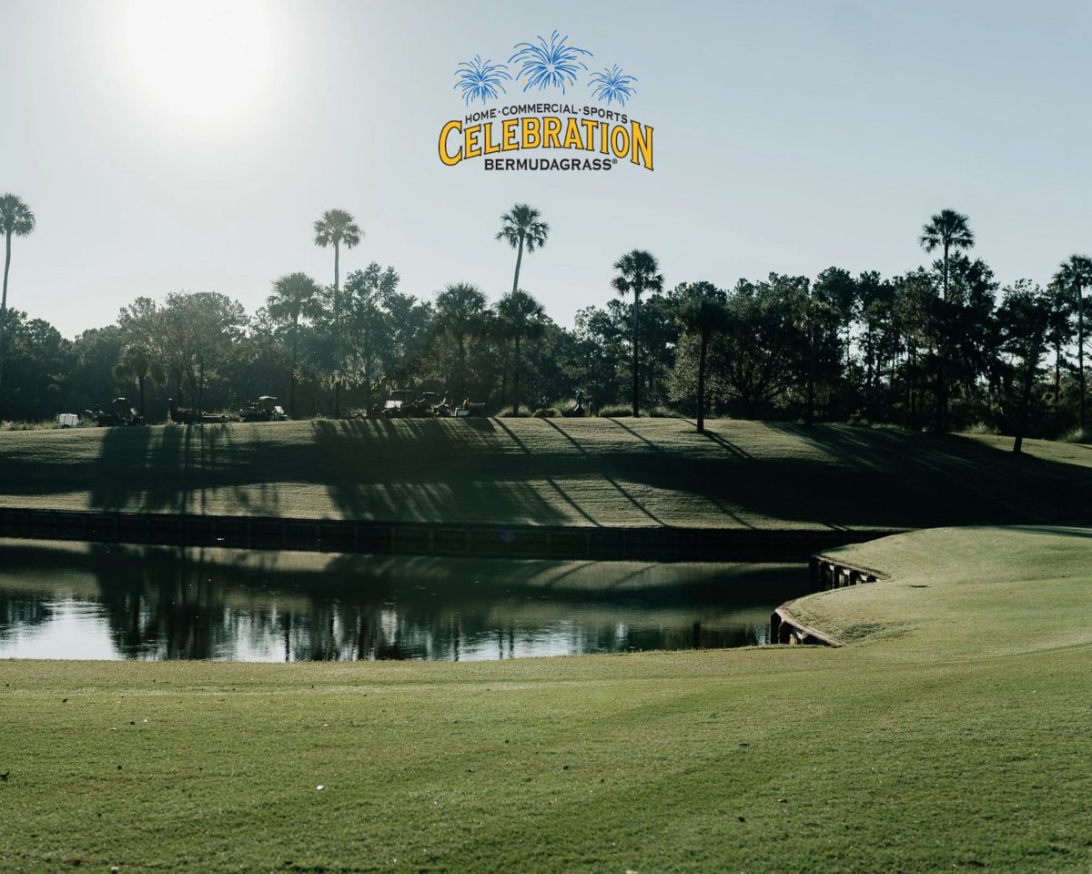 Sod Solutions tweet media