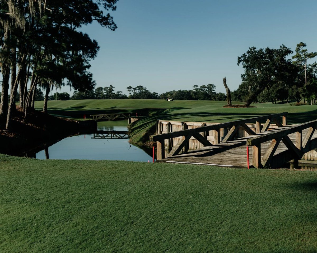 Sod Solutions tweet media