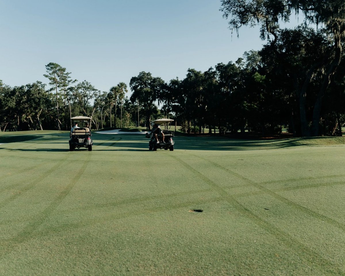 Sod Solutions tweet media