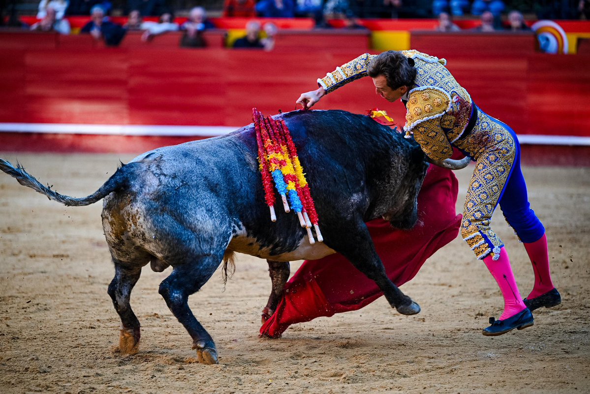 Román Collado tweet media