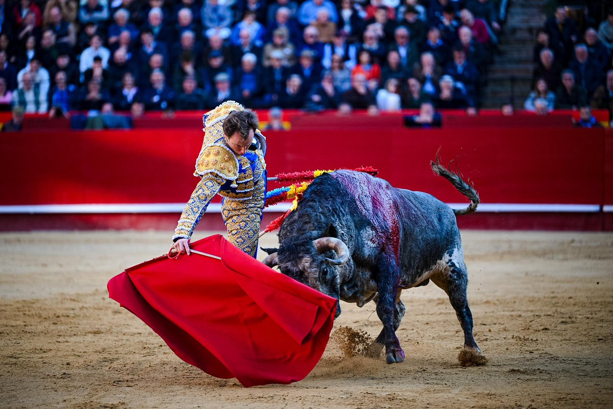 Román Collado tweet media