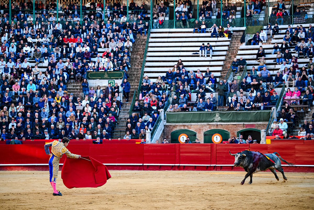 Román Collado tweet media
