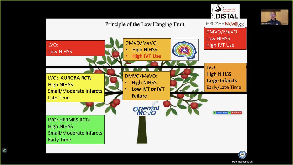 NeuroPrecision Lab tweet media