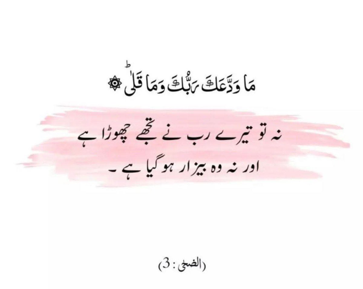 آمنہ👑 tweet media