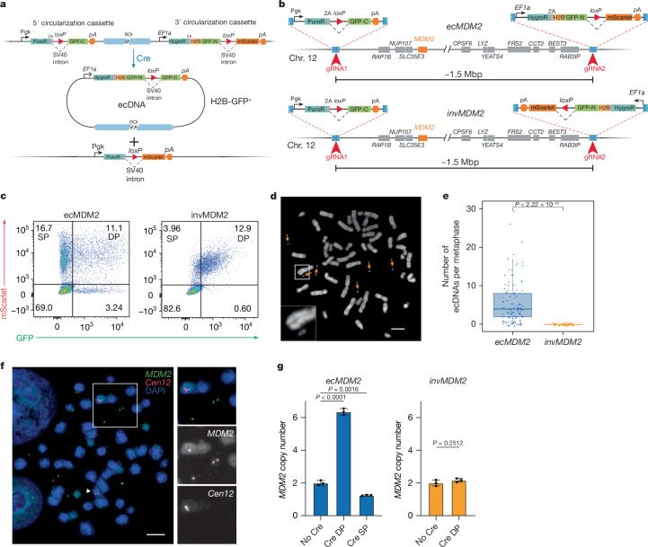 MSK Library tweet media