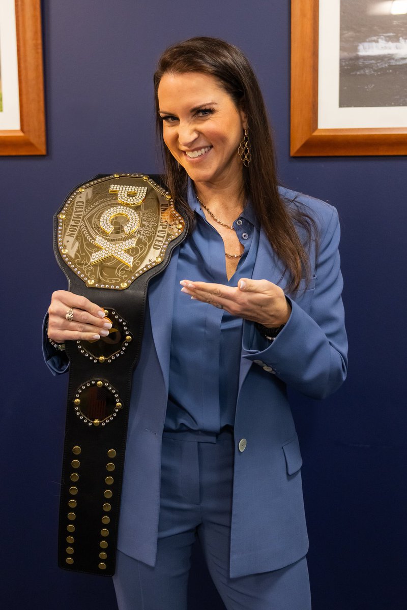 Stephanie McMahon - parody. tweet media