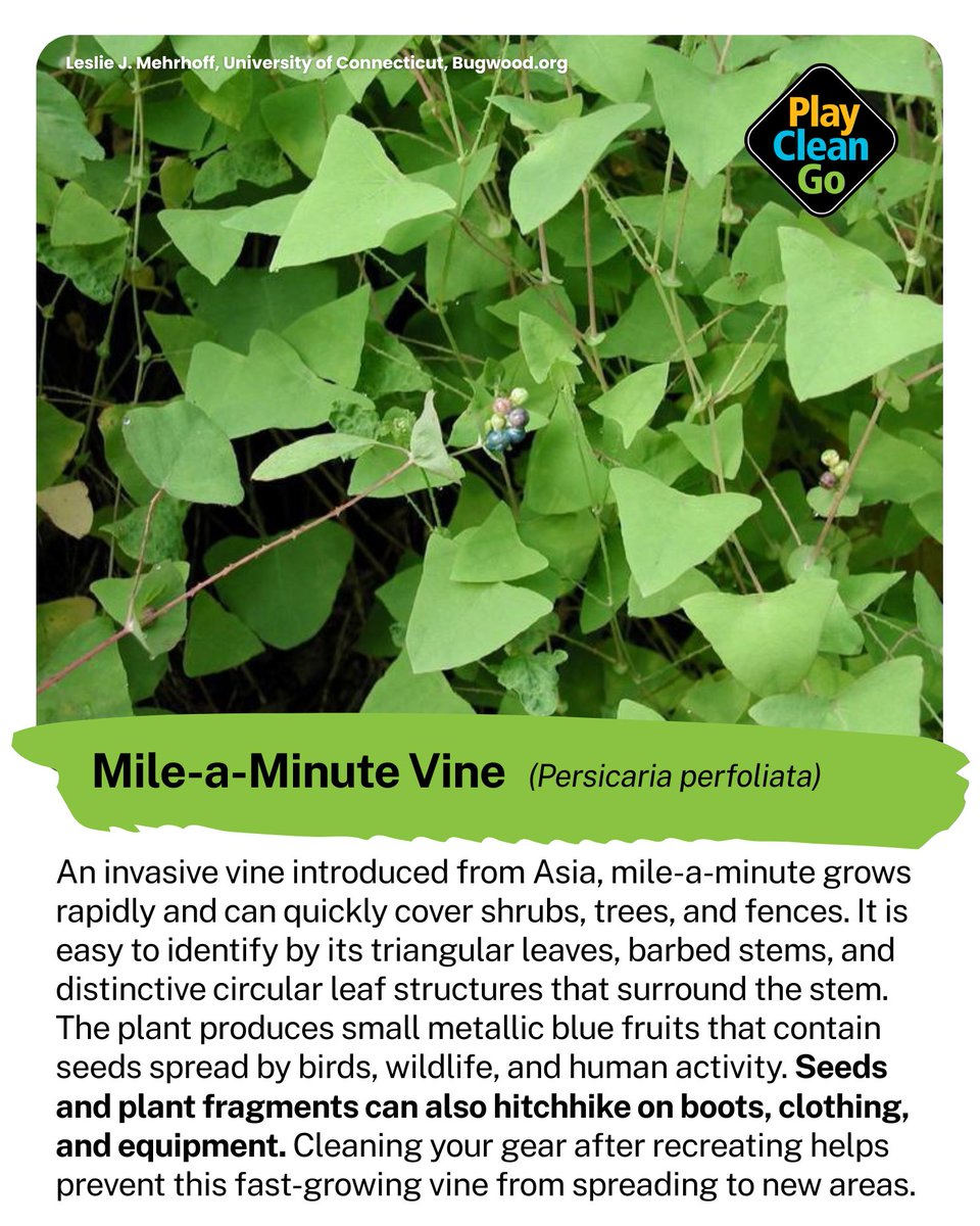 PlayCleanGo: Stop Invasive Species In Your Tracks tweet media