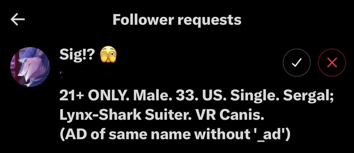 MarbleDog 🔜 LVFC tweet media