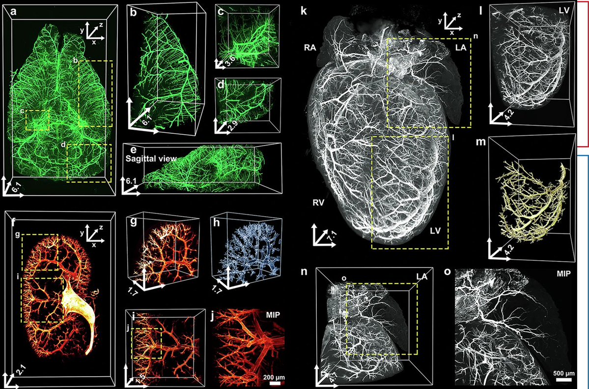 StainsFile tweet media