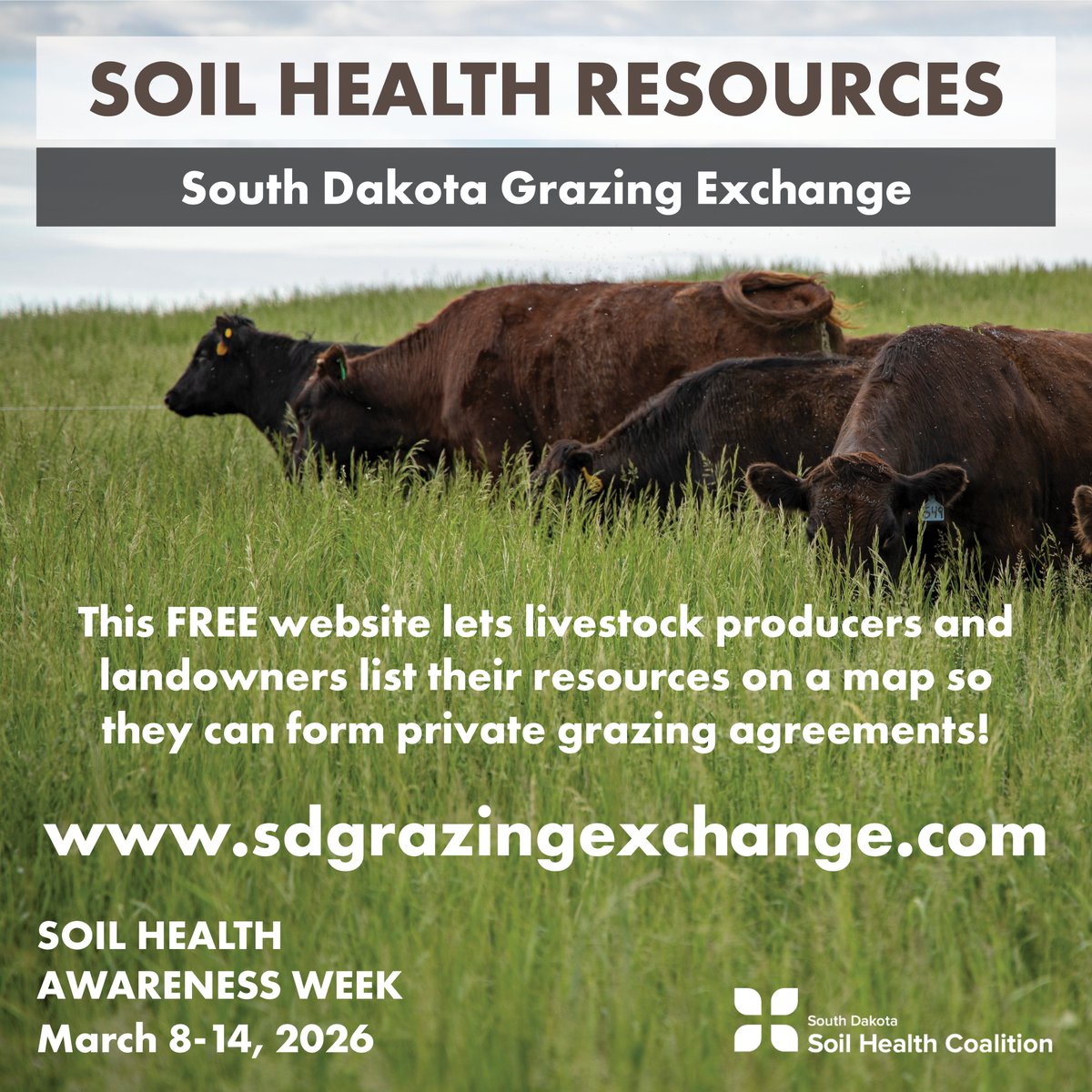 SDSHCoalition's tweet photo. To help producers incorporate livestock on their land, SDSHC offers the SD Grazing Exchange, a free website that lets users list their land and livestock resources and contact each other to form private grazing agreements! Learn more at https://t.co/mmziOx5d80 https://t.co/4OkEdUNXxS