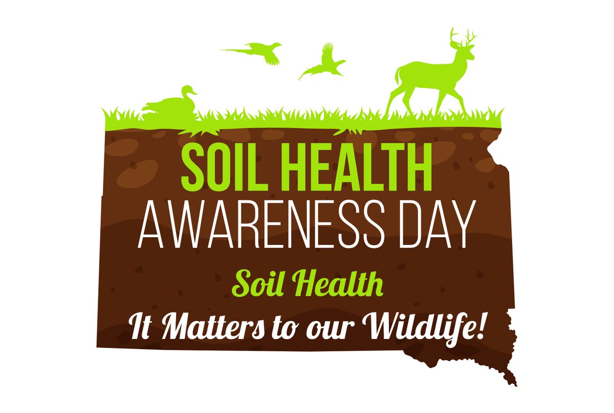 SDSHCoalition's tweet photo. To help producers incorporate livestock on their land, SDSHC offers the SD Grazing Exchange, a free website that lets users list their land and livestock resources and contact each other to form private grazing agreements! Learn more at https://t.co/mmziOx5d80 https://t.co/4OkEdUNXxS