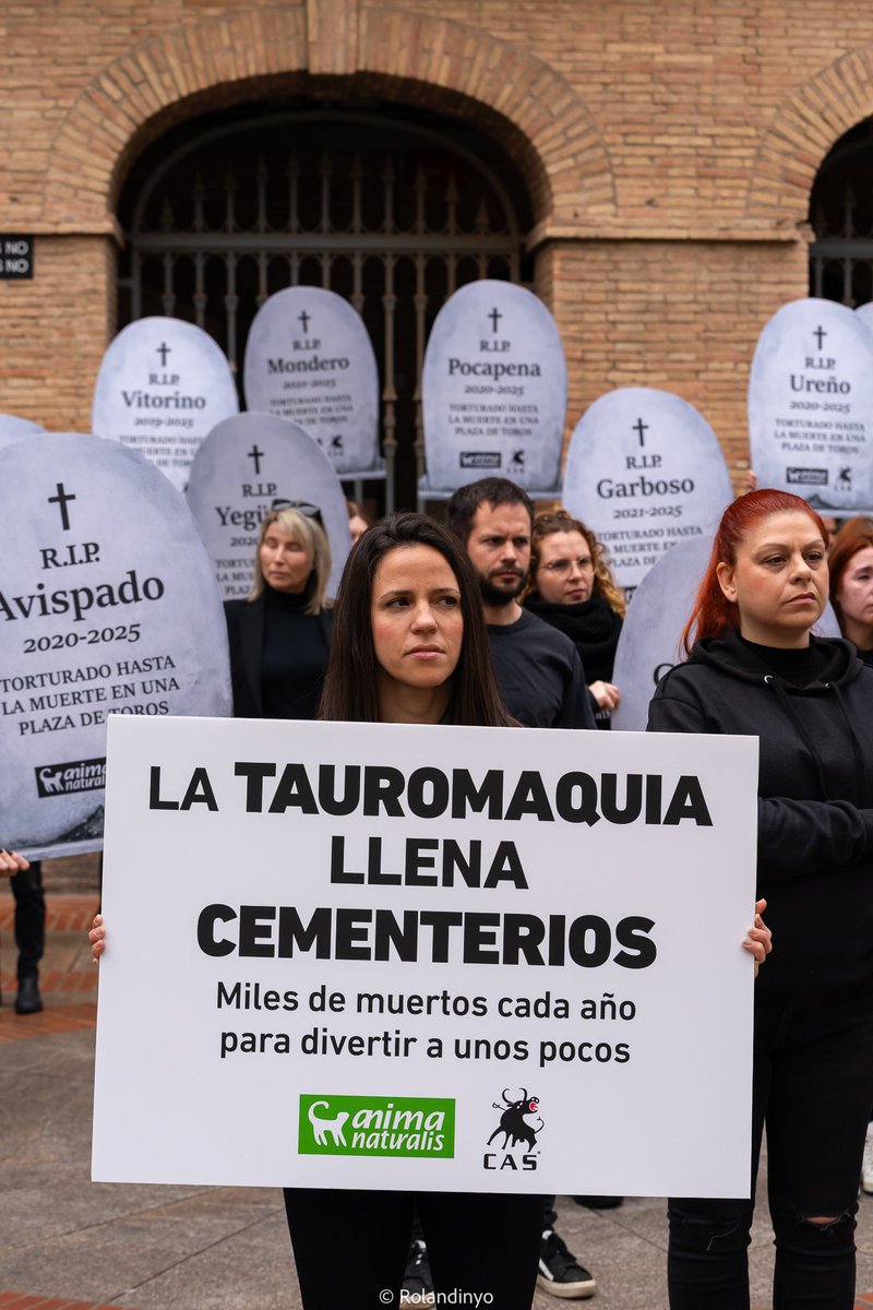 AnimaNaturalis's tweet photo. 🇪🇸 VALÈNCIA | Hoy comenzaron las corridas de toros en Valencia.

42 toros y 18 novillos (entre 2 y 4 años) serán torturados en la feria taurina de #Fallas2026.

🪦 El 7 de marzo protestamos frente a la Plaza de Toros, donde esa misma tarde celebraron las novilladas. 💔