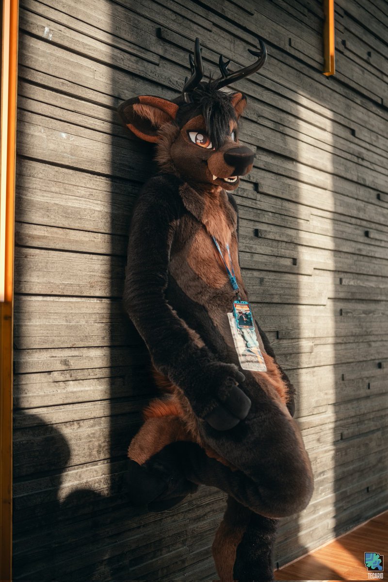 Quyn 🦌🔜 Pawske, FWA tweet media