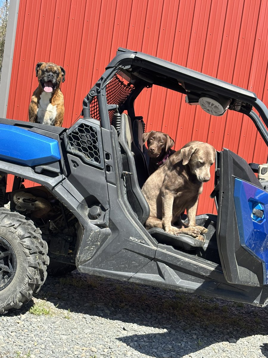 jason cates tweet media