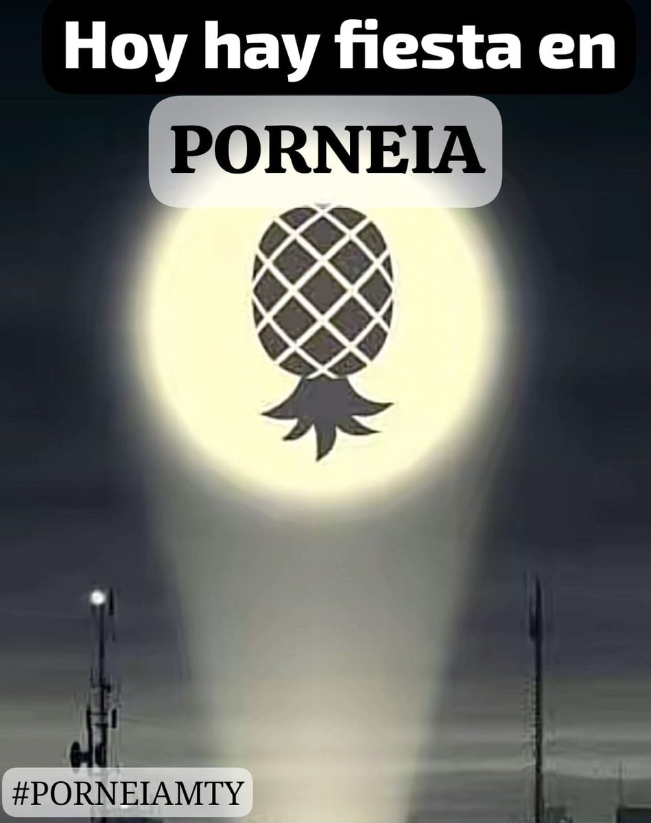 PORNEIA tweet media