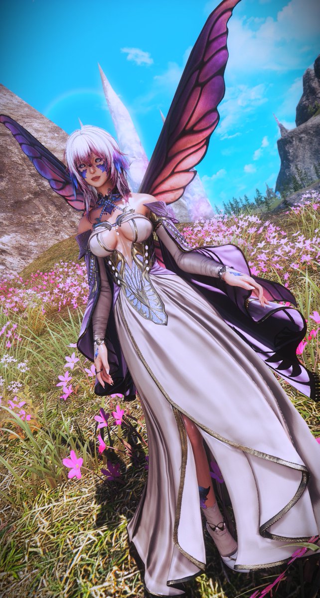 Boomer_Potato tweet media