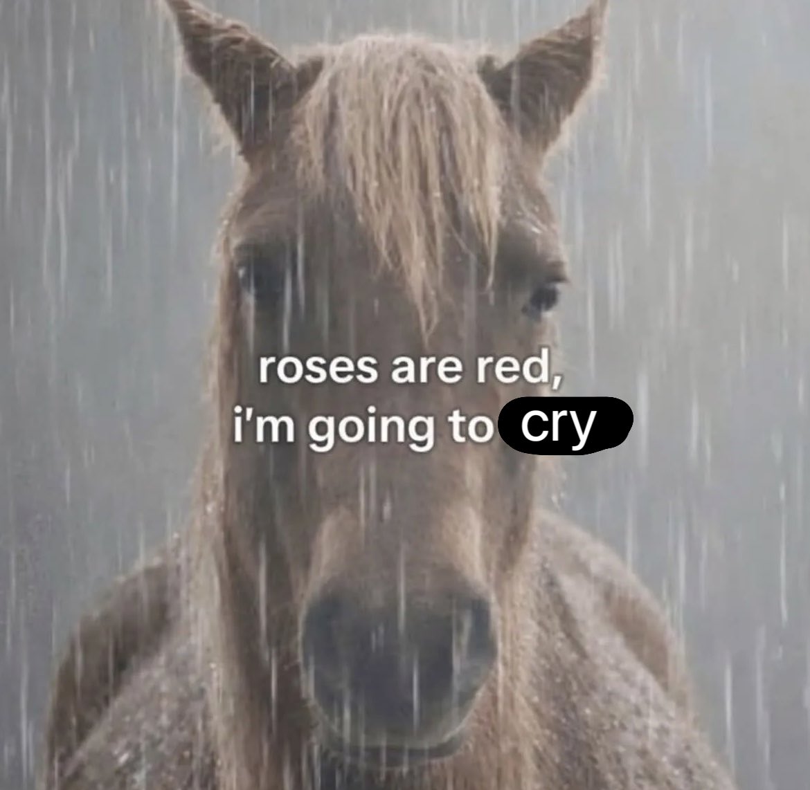 Atlantis tweet media