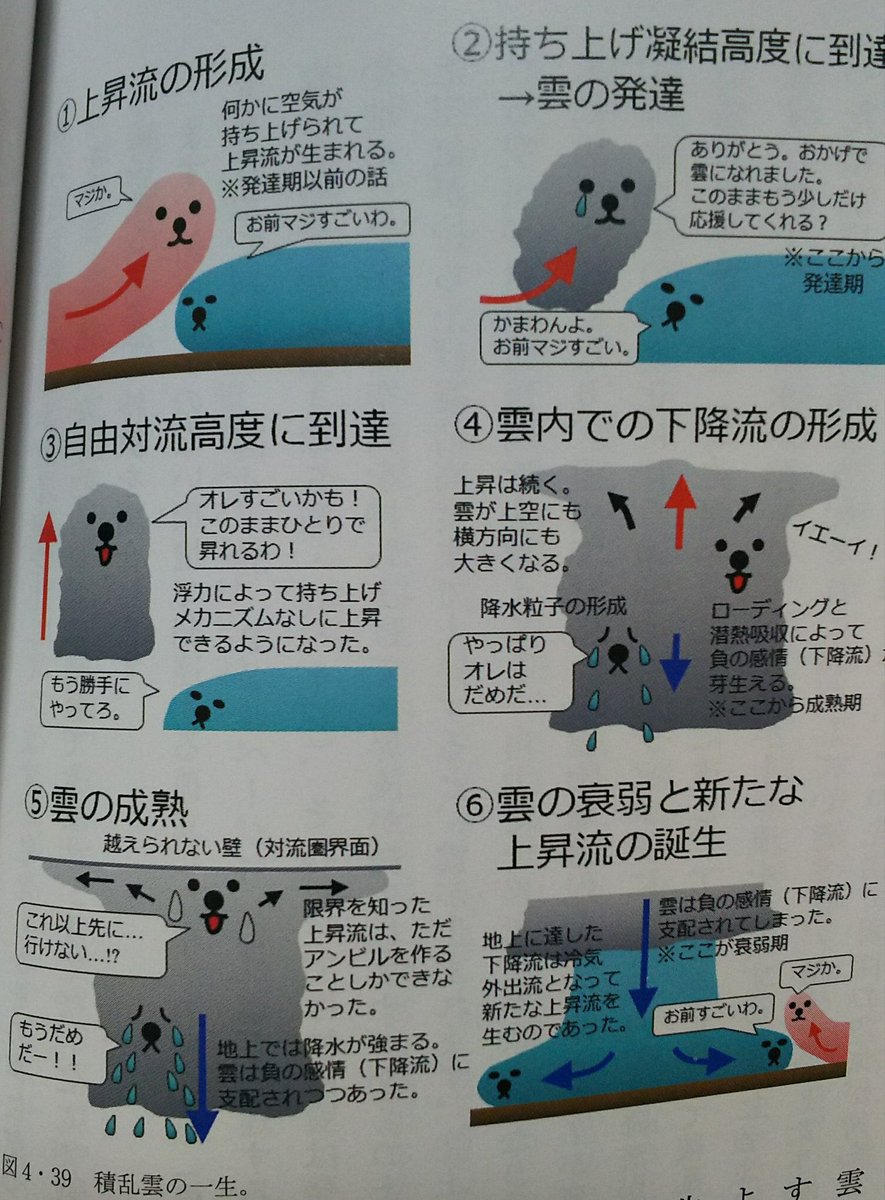 ずっと忘れたくない tweet media