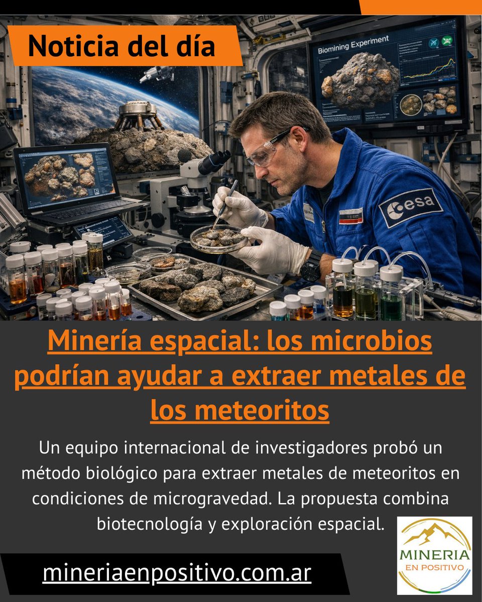 mineriaenpositivo.com.ar/2026/03/13/des…