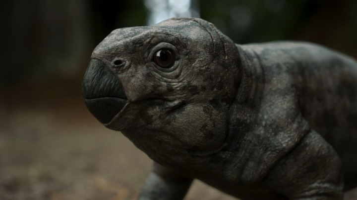 Palaeoncryptozoologist Briton tweet media