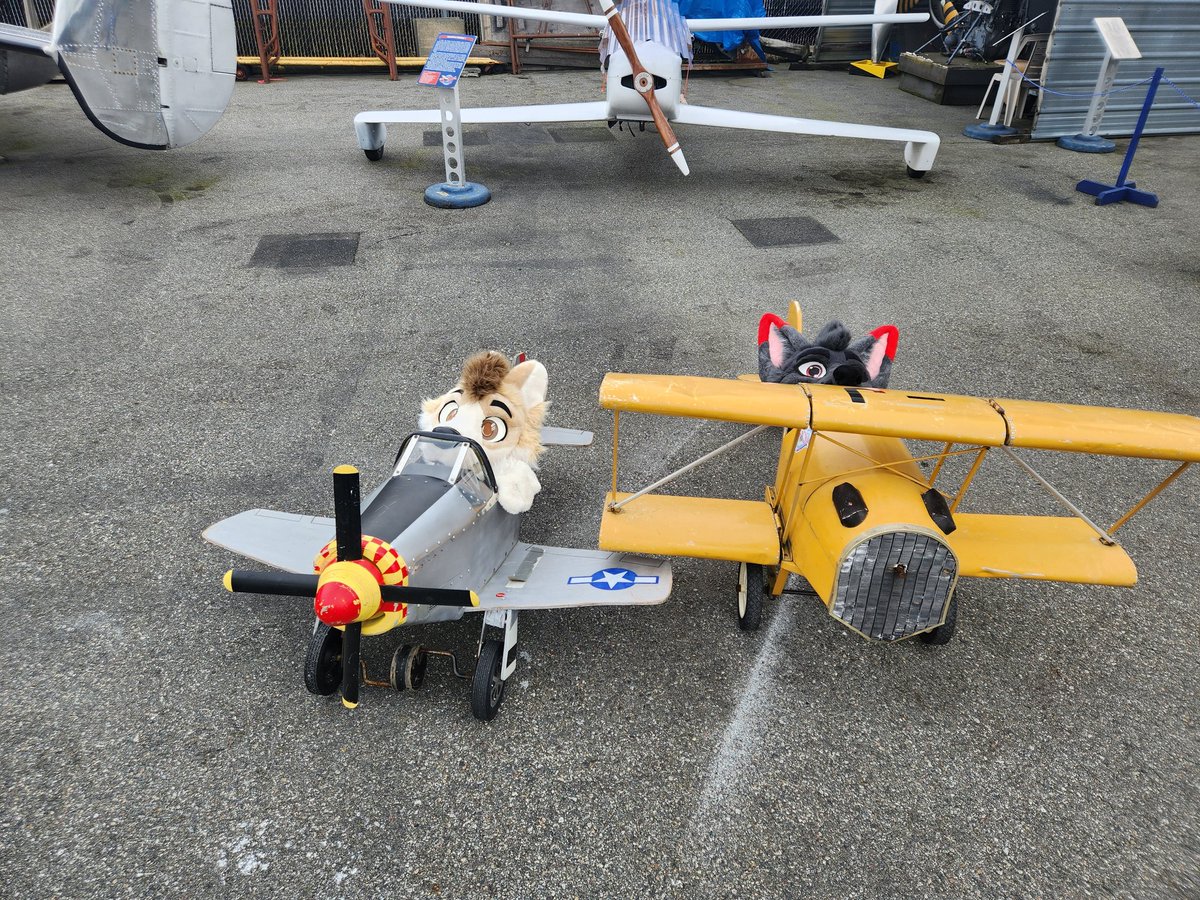 Luger_Mann tweet media