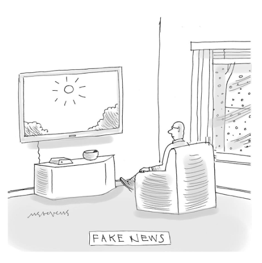 𝙲é𝚜𝚊𝚛 𝚁𝚘𝚍𝚛í𝚐𝚞𝚎𝚣 tweet media