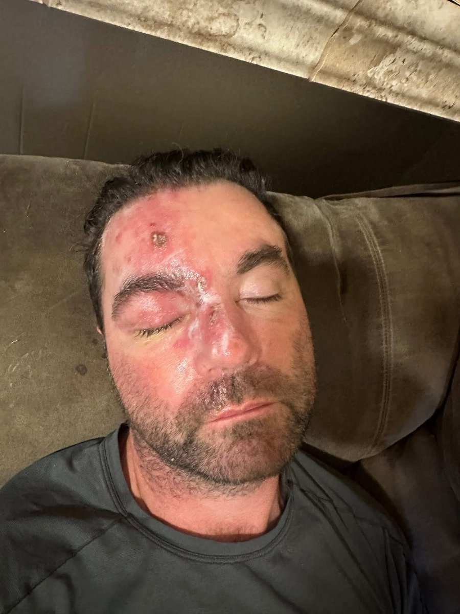 Schrodingersbabyseal tweet media