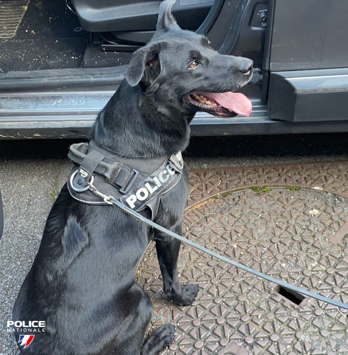 Police nationale 35 tweet media