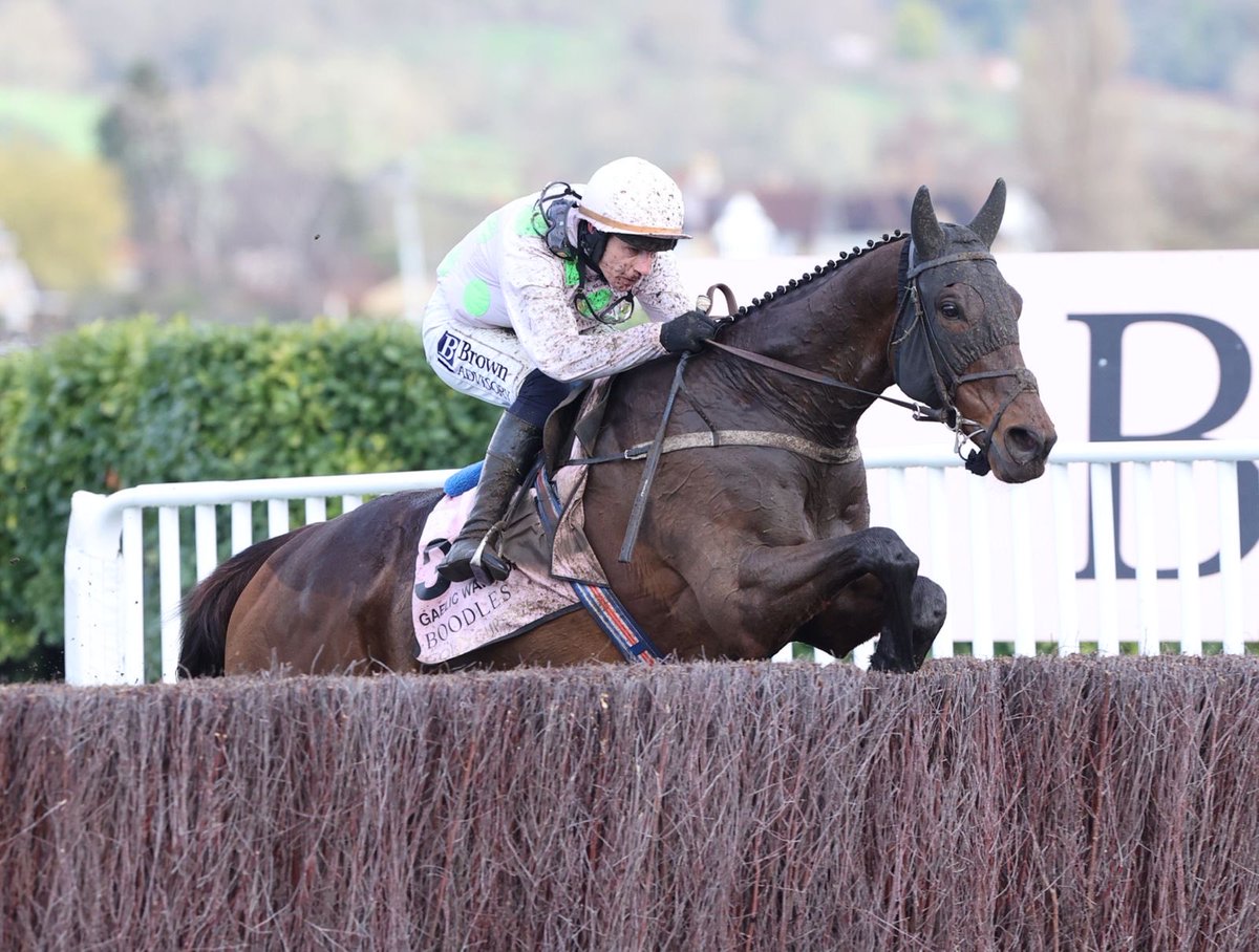 Willie Mullins tweet media