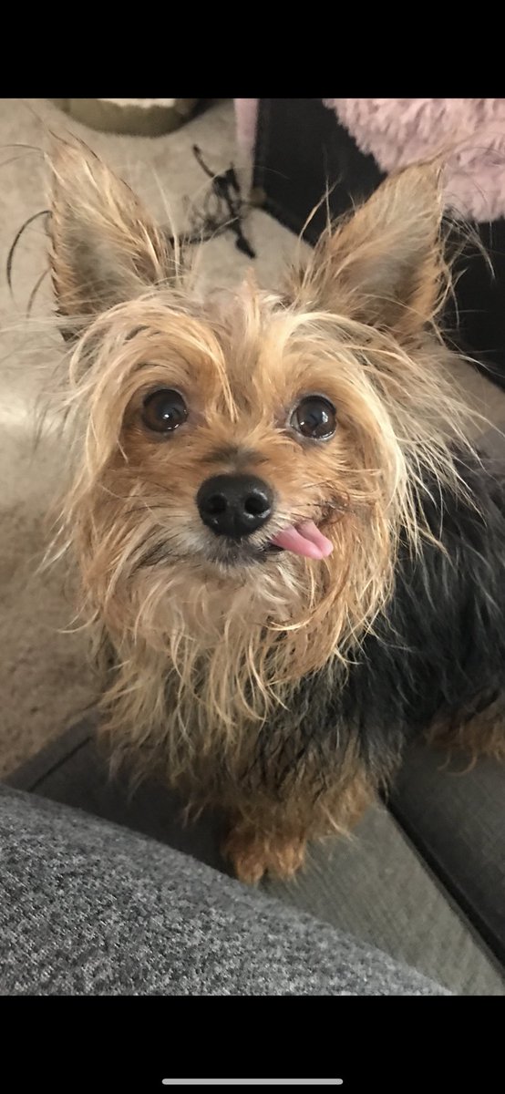 YouLookLikeAMom tweet media