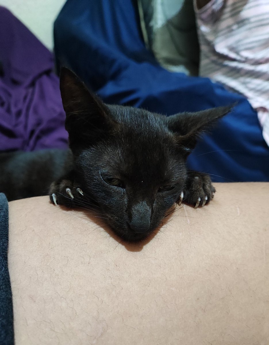 Chay ❁ tweet media