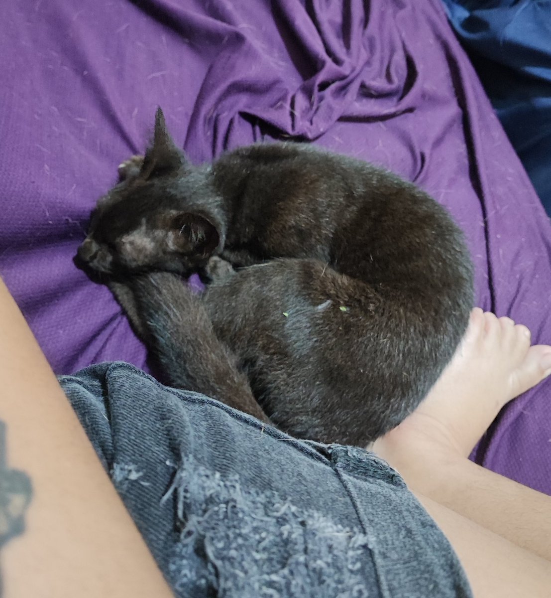 Chay ❁ tweet media