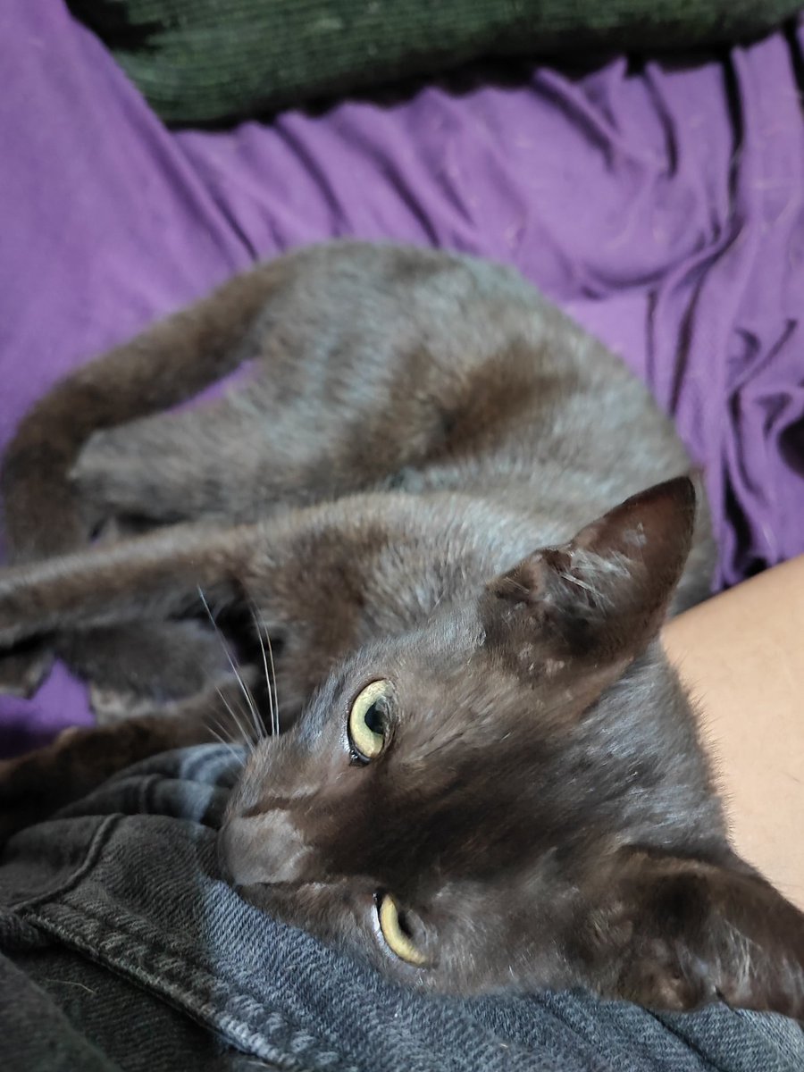 Chay ❁ tweet media