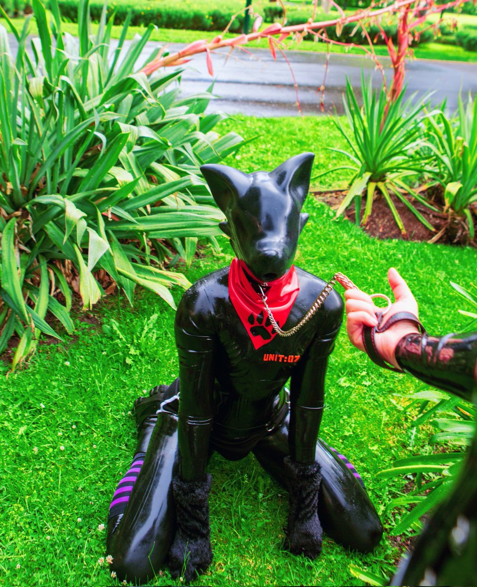 NoirLatex tweet media