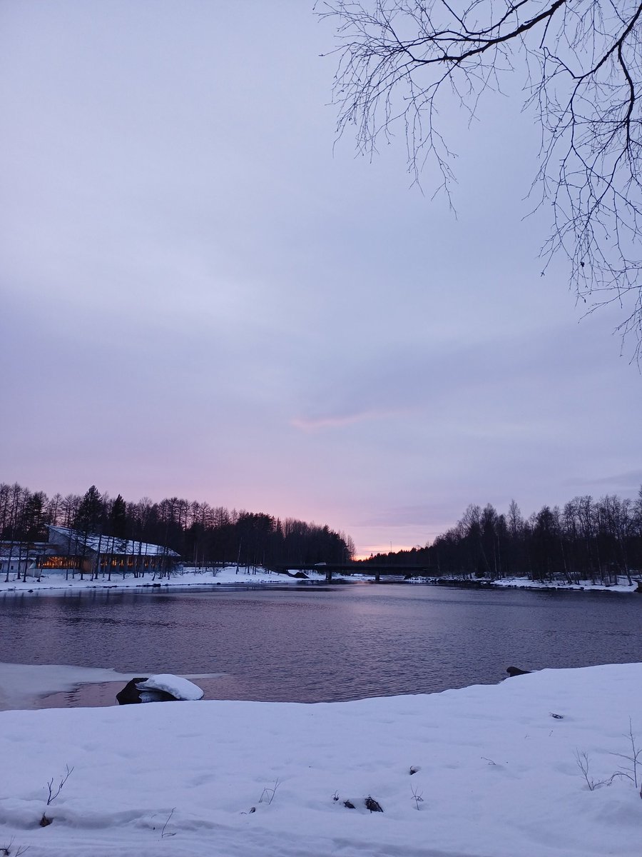 Sari Maarit tweet media