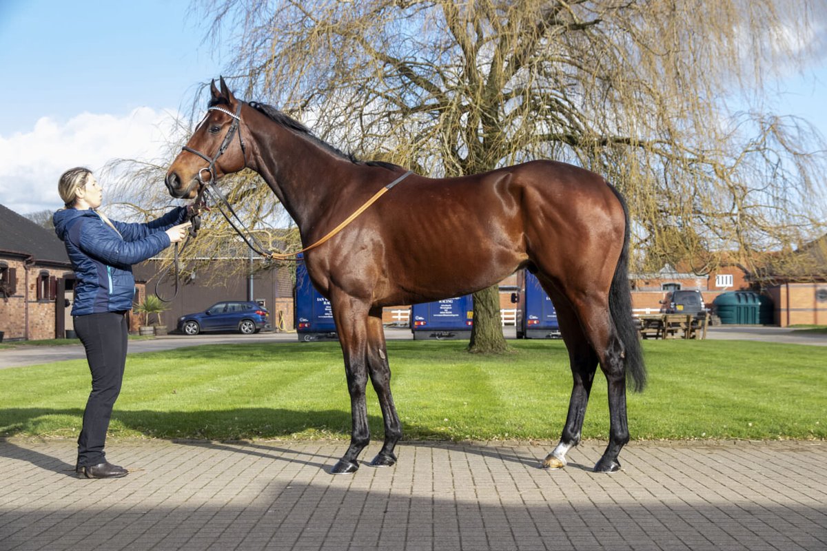 Ian Williams Racing tweet media