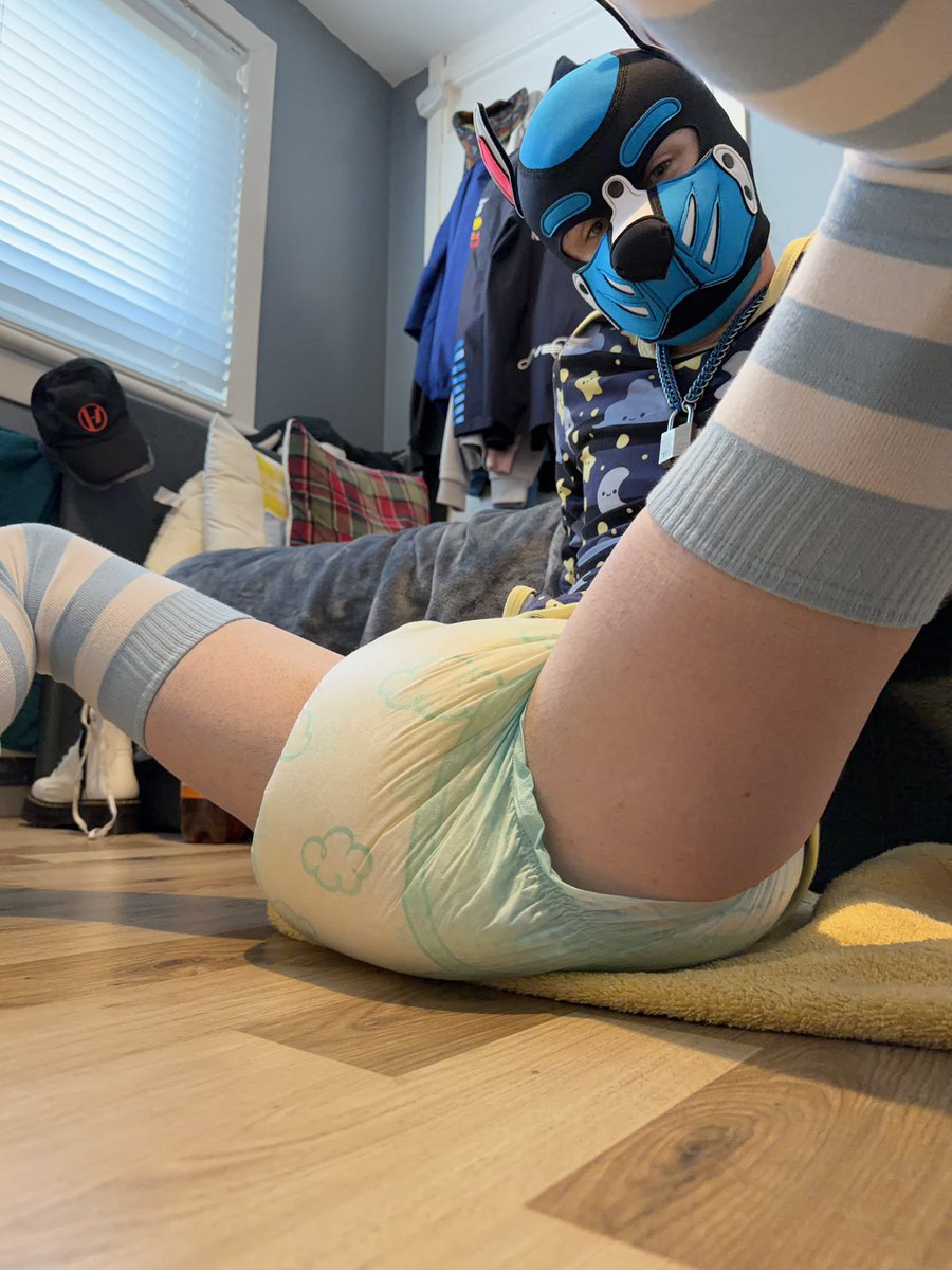 Aspen🐾🔜 WeePadded tweet media