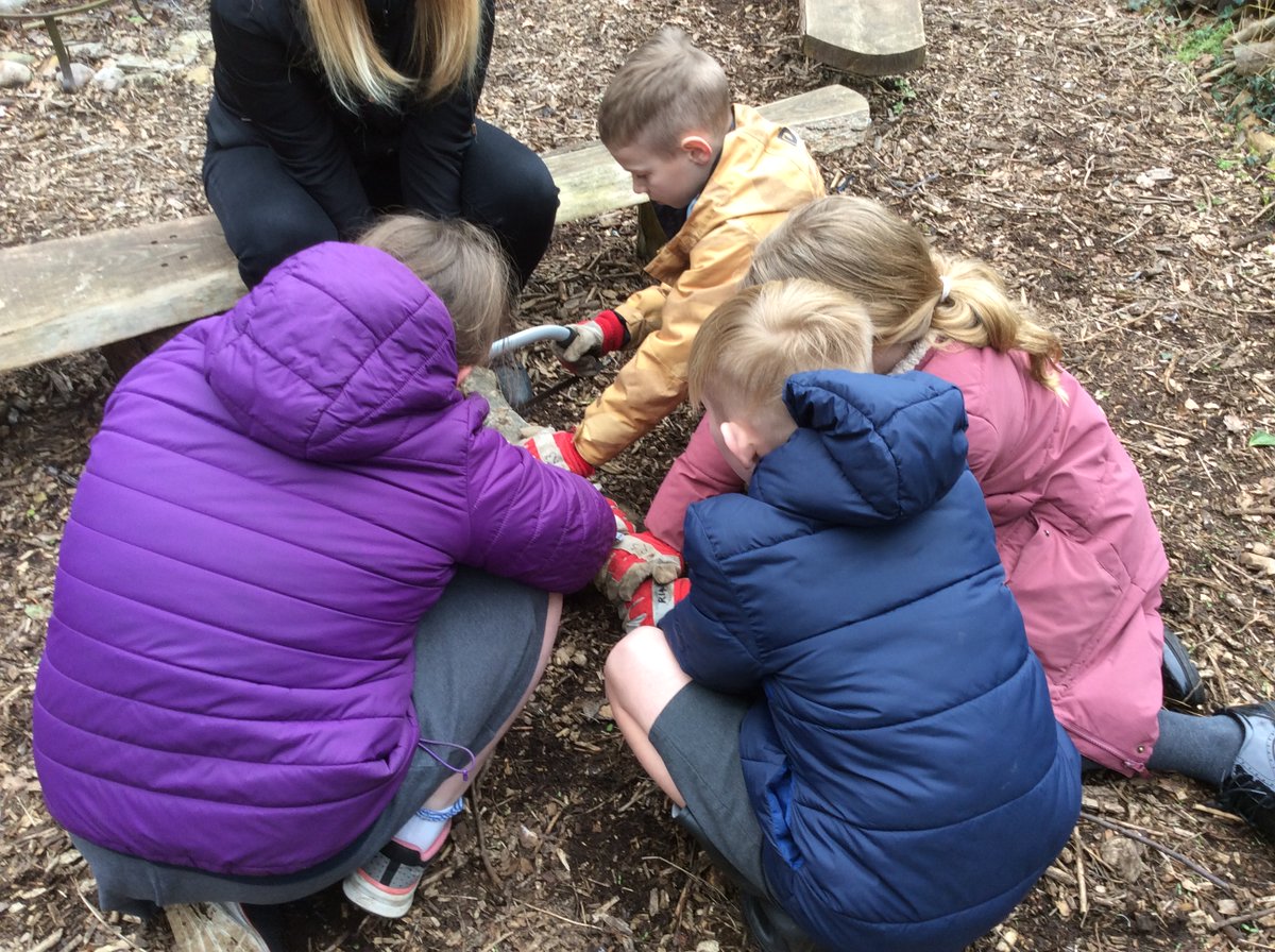 CrowlePrimary tweet media