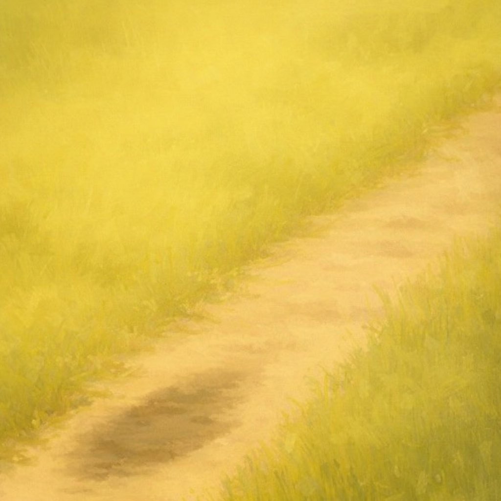 pascal.trades tweet media