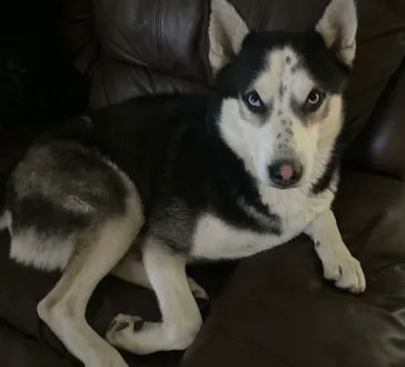 Keith Olbermann tweet media