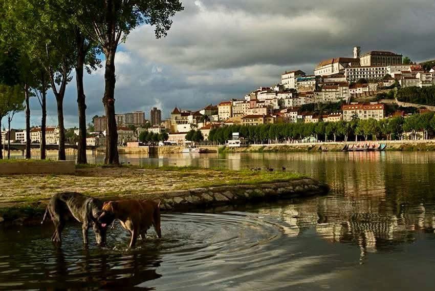 BoraPraPortugal's tweet image. 📍Coimbra 🇵🇹 

#coimbra #portugal #walkabout