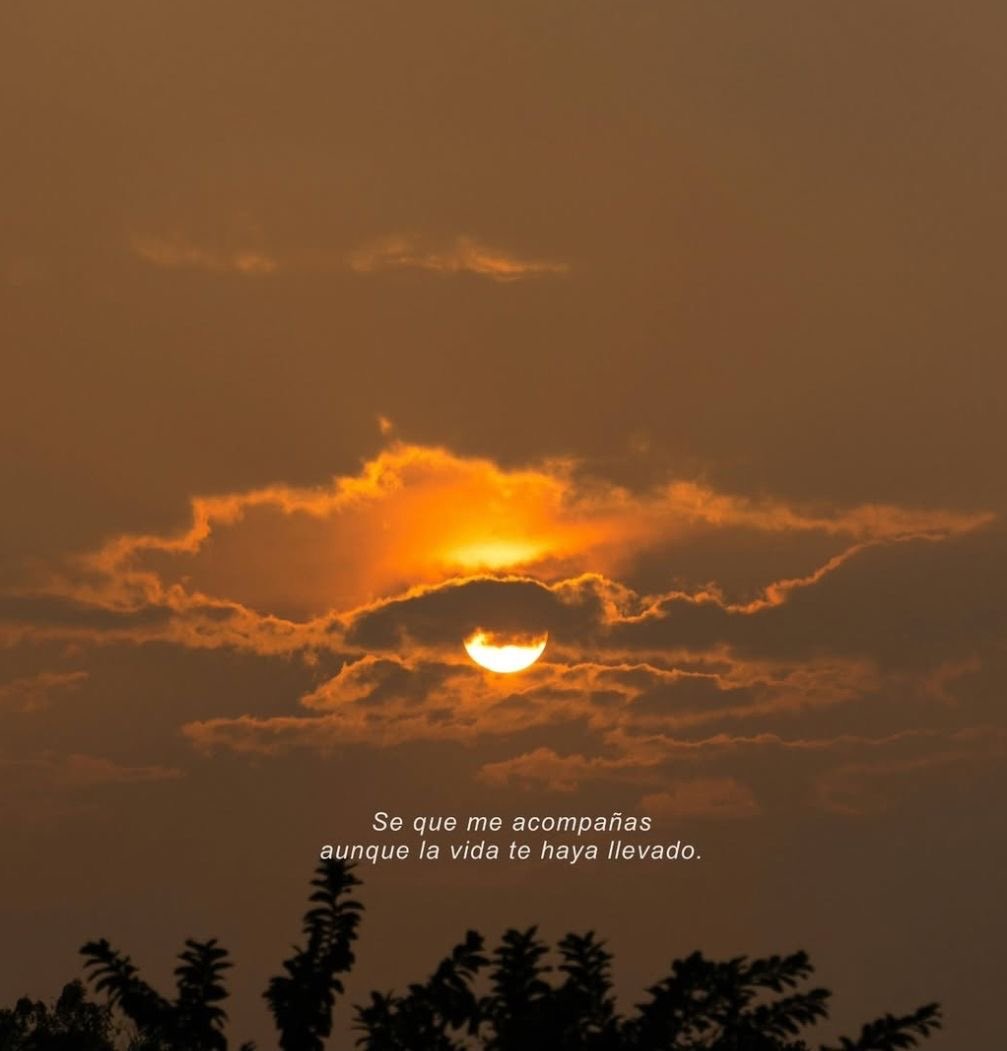 Pensamientos tweet media